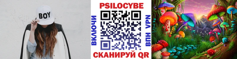 Купить  Лаишево  Галлюциногенные грибы прущие грибы 